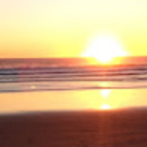 Meet your Posher, Isabella